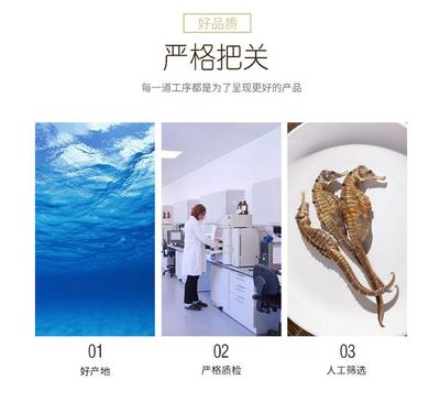 傳統(tǒng)滋補(bǔ)與現(xiàn)代工藝的融合 干無增重海馬湯料與古方泡酒的養(yǎng)生之道